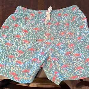 CHUBBIES The Glades Lined Shorts, Swim Trunks, Flamingo Print 5.5” size medium